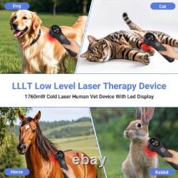 1760mW Red Light Laser Therapy Powerful Portable Home Use Various Body Parts