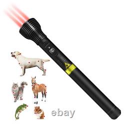3000mW 808nm Laser Therapy For Pain Relief Laser Pointer Laser Acupuncture Pen
