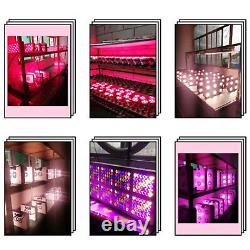 300W LED Red Therapy Light Panel 660nm 850nm Near Infrared Lamp For Pain Relief