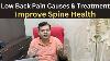 3 Main Cause Of Low Back Pain How To Improve Spine Health Bone Density Lower Back Pain Treatment