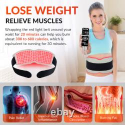 660nm 850nm 940nm Red Infrared Light Therapy Slimming Waist Belt for Pain Relief