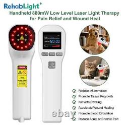 808nm Laser Therapy for Pain Pet Dog Gingivitis Disease Professional LLLT Tool