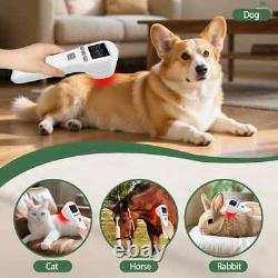 808nm Laser Therapy for Pain Pet Dog Gingivitis Disease Professional LLLT Tool