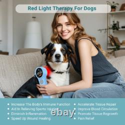 980+810nm Cold Laser Therapy Device LLLT Pain Relief Soft Red Light Treatment 980+810nm Cold Laser Therapy Device LLLT Pain Relief Soft Red Light Treatment