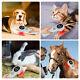 Class 3 Laser Therapy Cold Laser For Inflammation Dogs Horses Arthritis At Home