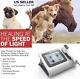 Class Iv Veterinary Pet Laser Therapy For Pain Relief & Healing, Top Quality