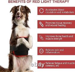 Cold Laser Therapy Device LLLT For Pets Red Infrared Light Pain Relief Dog Horse