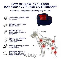 Cold Laser Therapy Device LLLT For Pets Red Infrared Light Pain Relief Dog Horse