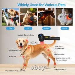 Cold Laser Therapy Near Me 650nm10+808nm15 Laser Treatment for Back Pain 5W