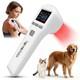 Cold Laser Treatment For Shoulder Joint Pain 650nm16+808nm4 Lllt Laser Therapy