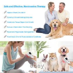 Equine Laser Therapy Cold Laser Therapy at Home Laser Physical Therapy