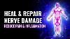 Heal And Repair Nerve Damage Reduce Pain And Inflammation Nerve Regeneration Isochronic Tones