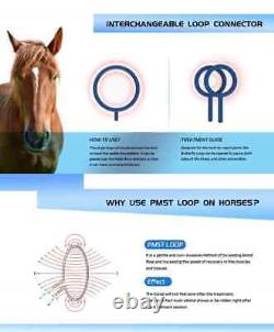 Horse Pemf Horse Magnetic Therapy Pmst Loop Animal Equine Pain Relief Machine