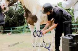 Horse Pemf Horse Magnetic Therapy Pmst Loop Animal Equine Pain Relief Machine