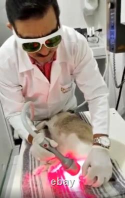 Laser Veterinary Pet Therapy Pain & Healing Top Quality Class IV Powerful