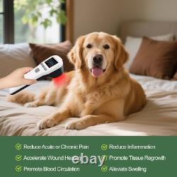 Low Level Cold Laser Therapy for Muscle Strain 808nm 650nm Body Feet Anti Pain