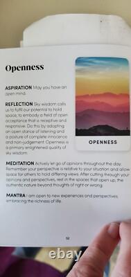 Magnetic, Powerful, Easy use pocket PEMF Therapy VIBE 60 Vagas nerve heart ptsd