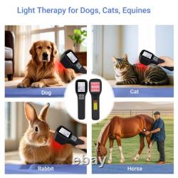 Medical FourWave Laser Therapy for Back Pain Sciatica Intervertebral Disc Issues