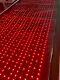 New Large Size Whole Body Losing Weight Red Light Therapy Physical Mat Device