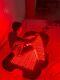 Newest Whole Body Red Light Therapy Mat For Body Pain Relief. Increase Metabolism