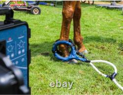 PEMF Machine Physio Magnetic Therapy with Butterfly Loop for Animals Pain Relief