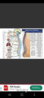 Pain care terahertz therapy device