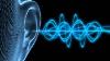 Powerful Tinnitus Sound Therapy 6 Hour Tinnitus Treatment Session Tinnitus Masking Sounds