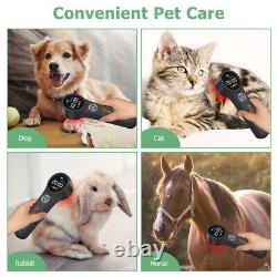 Powerful Vet Use Cold Laser Therapy for Meniscus Tear Muscle Pain Injury Healing