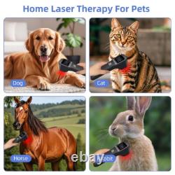 Professional Cold Laser Therapy Device for Chronic Joint Pain Relief 808nm+650nm