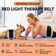 Red Light Therapy Body Panels For Relief Exercise Pain Waist Chest Hip Men Dog