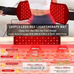Red Light Therapy Infrared Light Therapy Body Pain Relief Decrease Inflammation