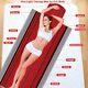 Red Light Therapy Mat Pain Relief Home Red Light Therapy Blanket For Full Body