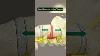 Spinal Decompression For Lower Back Pain And Sciatica Spinaldecompression Sciatica Herniateddisc
