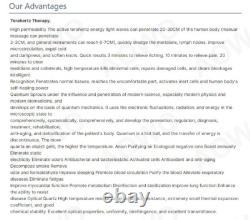 1000Watts 7.0pro Authentic Soulagement de la Douleur Thz Bâton Souffleur Thérapie Quantique