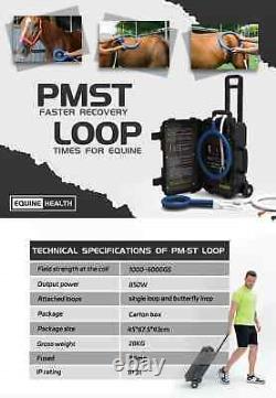 Boucle PMST PEMF de transduction magnétique Magnétothérapie pour le soulagement de la douleur et les blessures sportives