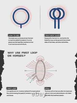 Boucle PMST PEMF de transduction magnétique Magnétothérapie pour le soulagement de la douleur et les blessures sportives