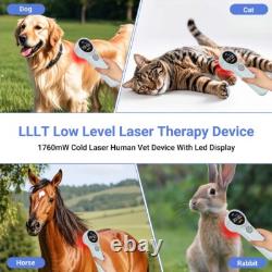 Dispositif de thérapie au laser LLLT portable 660/810/980 nm pour humains et animaux soulagement de la douleur