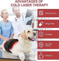 Dispositif de thérapie au laser froid LLLT pour animaux Lumière rouge infrarouge Soulagement de la douleur Chien Cheval