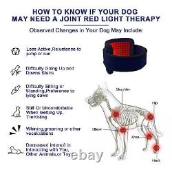 Dispositif de thérapie au laser froid LLLT pour animaux Lumière rouge infrarouge Soulagement de la douleur Chien Cheval