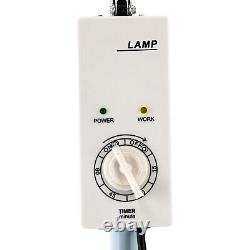 Lampe minérale d'acupuncture Lampe infrarouge lointain Dispositif de chauffage pour soulager la douleur 250W 110V