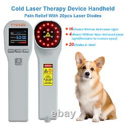 Laser froid de classe 3b à domicile, laser froid pour l'arthrite et la récupération de la douleur des animaux de compagnie