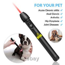 Puissant stylo laser de thérapie par acupuncture 200mW 808nm pour le traitement de la douleur chez les humains et les animaux de compagnie.
