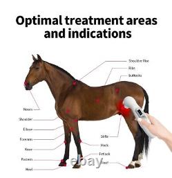 Régénération légère Laser froid Puissant Dispositif de thérapie au laser pour soulager la douleur portable