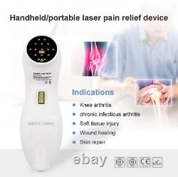 Thérapie Laser Froide Dispositif Puissant De Soulagement De La Douleur Pour Les Animaux Avec Des Verres Nouveau