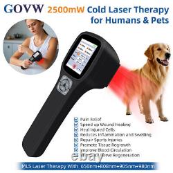 Thérapie au Laser Froid pour Humains et Animaux 2500mW Physiothérapie à Lumière Rouge pour Soulagement de la Douleur