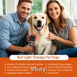 Thérapie au laser froid 808 pour les humains et les animaux de compagnie : physiothérapie à lumière rouge pour soulager la douleur