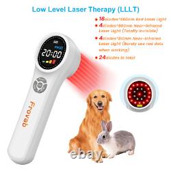 Thérapie au laser froid de classe 4 pour chien, machine de thérapie à la lumière infrarouge rouge pour soulager la douleur