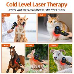 Thérapie au laser rouge pour la douleur Thérapie équine au laser pour réduire l'inflammation
